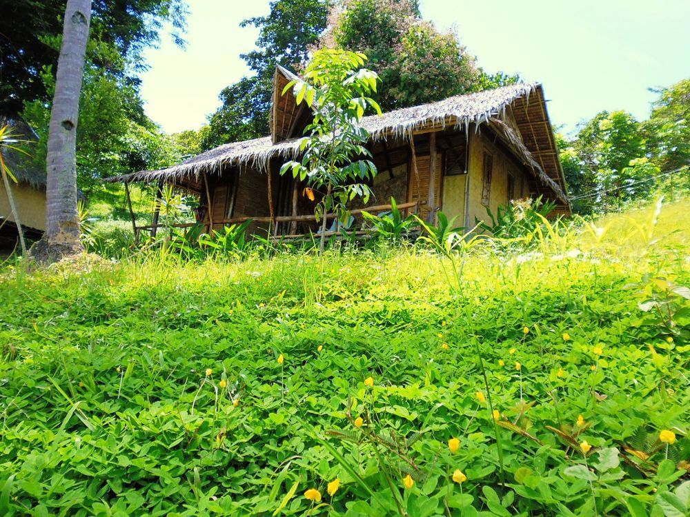 Tapik Beach Park Guest House El Nido Exteriör bild
