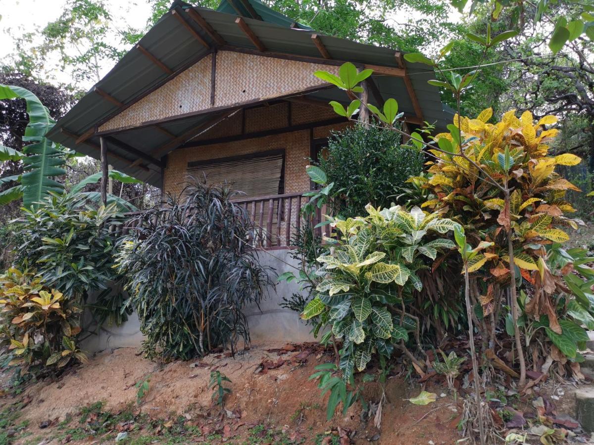 Tapik Beach Park Guest House El Nido Exteriör bild